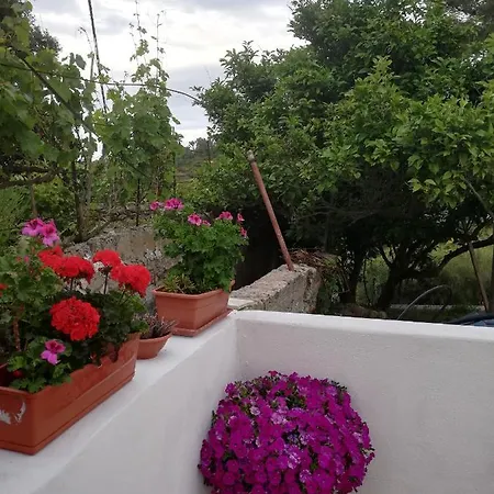 Casa Vacanze Ombretta * Ponza